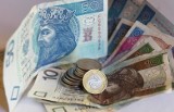 Pokolenie Zet zna się na finansach. Skąd taka wiedza u 18-25 latków?