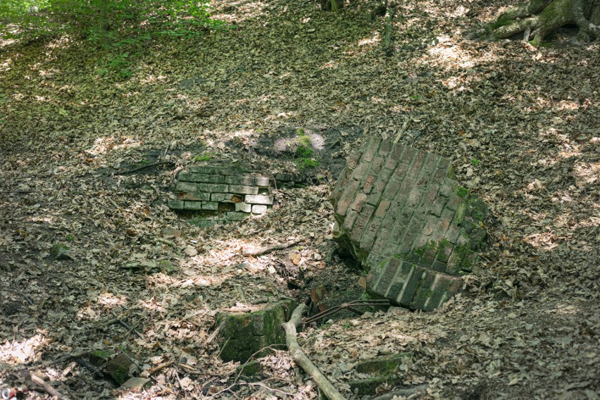 Ruiny ujęcia leżą w lesie nad strumieniem.