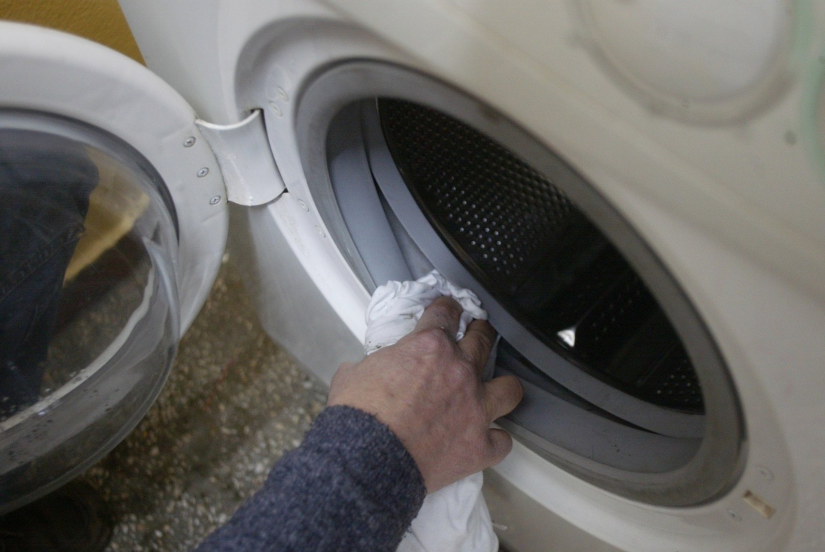 Grzyb w pralce – jak się go pozbyć i jak wyczyścić pralkę | RegioDom