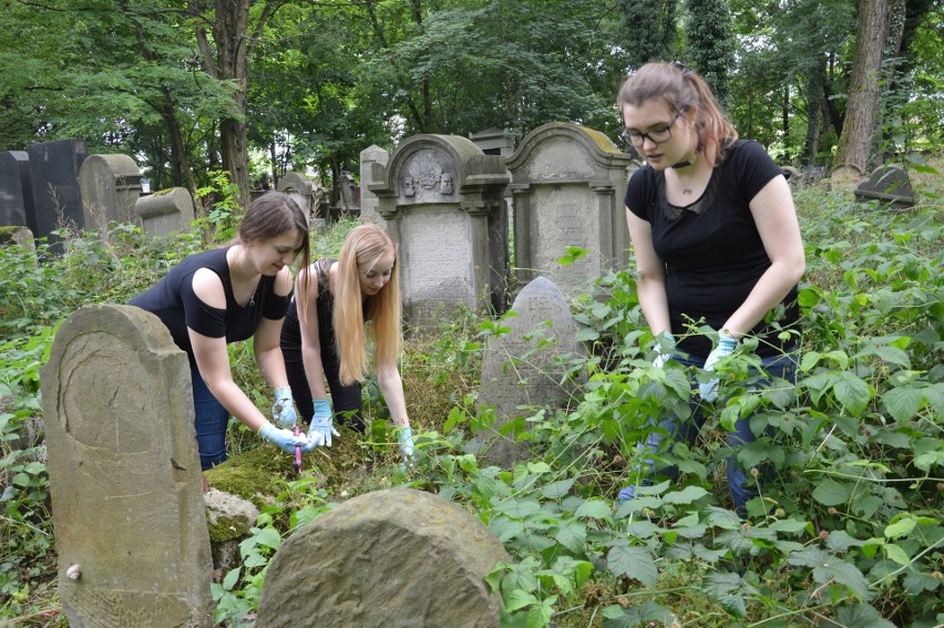 Odkrywają historię cmentarza