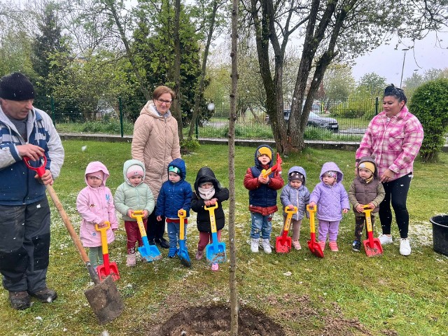 Dzieci z koszalińskiego żłobka Maluch posadziły pierwsze drzewa