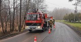 Zalas. Bobry przygotowały zasadzkę na kierowców pod Krakowem. Interweniuje straż pożarna