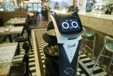 BellaBot. Kelner - robot w poznańskich restauracjach. Odprowadza do stolika, podaje dania i śpiewa "Sto lat". Zobacz zdjęcia i wideo!