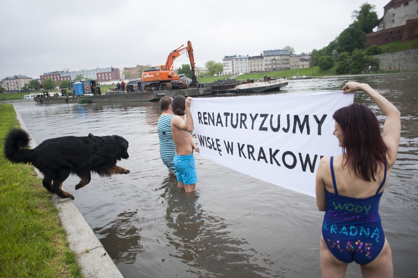 Kraków. Protestowali przeciwko usuwaniu dzikiej plaży pod Wawelem