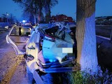 W Wilczych Błotach Kościerskich kierowca uderzył w drzewo. 34-latek z powiatu kościerskiego ukarany mandatem ZDJĘCIA