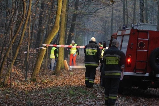 Zwłoki znaleziono wczoraj wieczorem w lesie.