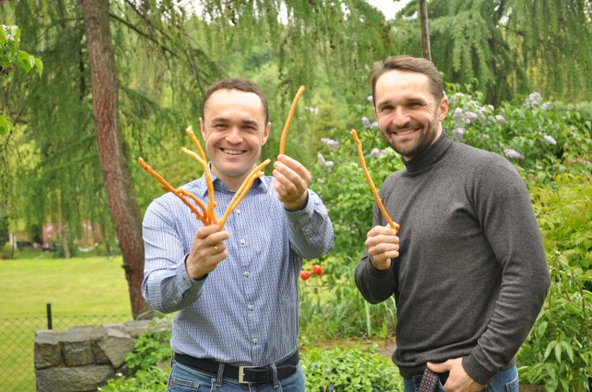 Bracia Tomczakowie ze swoim nowym produktem: Longis Fries.