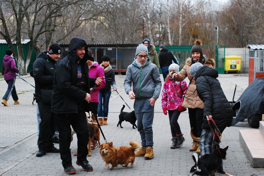 Dzień otwarty w schronisku dla zwierząt w Chorzowie