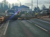 Wichura w powiecie krakowskim. Połamane drzewa, zablokowane drogi. Samochód uderzył w drzewo powalone na jezdnię