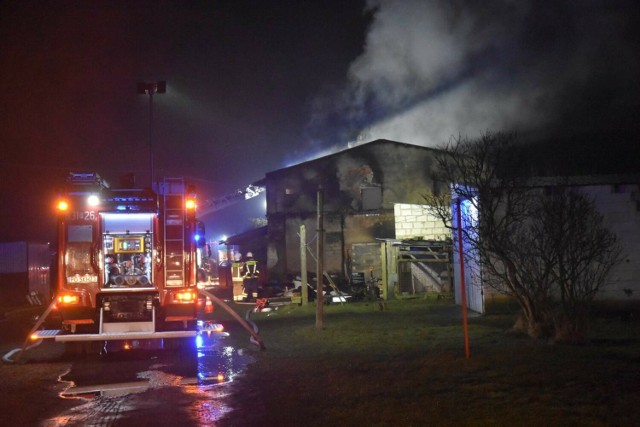 Strażacy pozostali na miejscu do chwili, aż nie byli pewni, że ogień ponownie się nie wznieci.