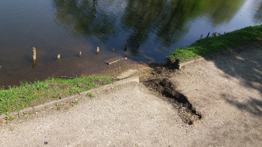 - Park nad Starym Kanałem Bydgoskim jest zaniedbany, a...