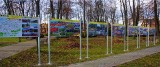 Park w centrum Ciepielowa zyskał nowy blask. Są nowe miejsca parkingowe, plac zabaw, a także tablice tematyczne