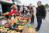 W sobotę w Kielcach kolejny ekobazar