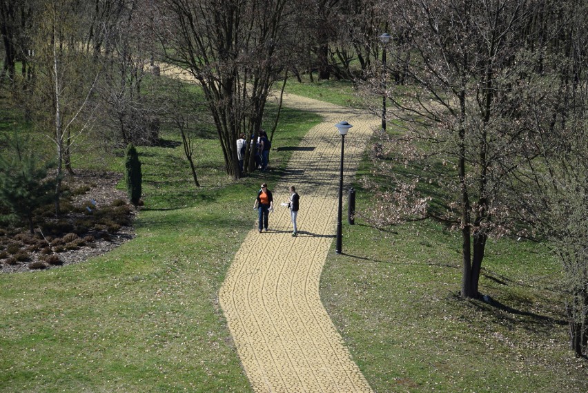 Śląski Ogród Botaniczny. Międzynarodowy Dzień Ptaków