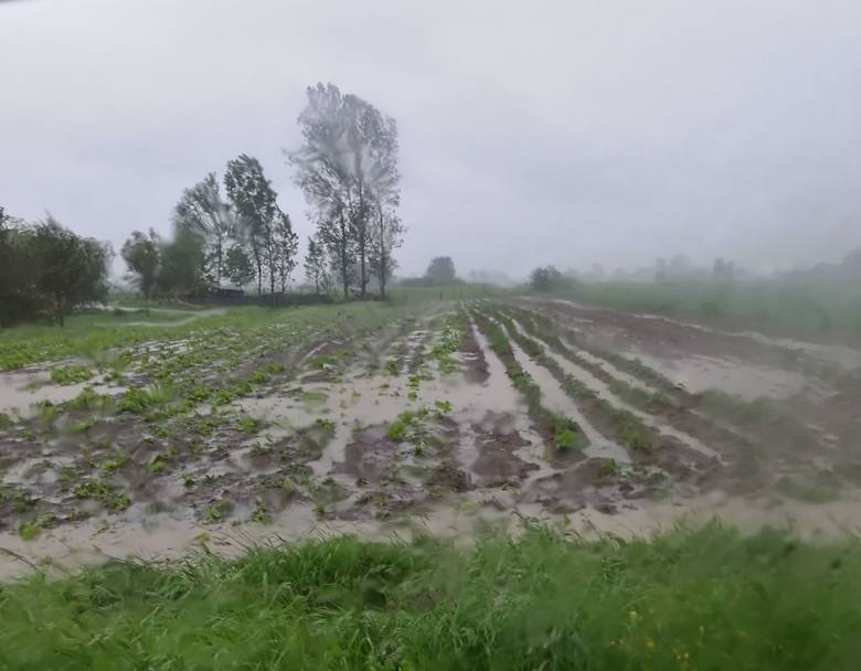 Tysiące hektarów upraw zalanych w Świętokrzyskiem. Rolnicy zgłaszają szkody do gmin 