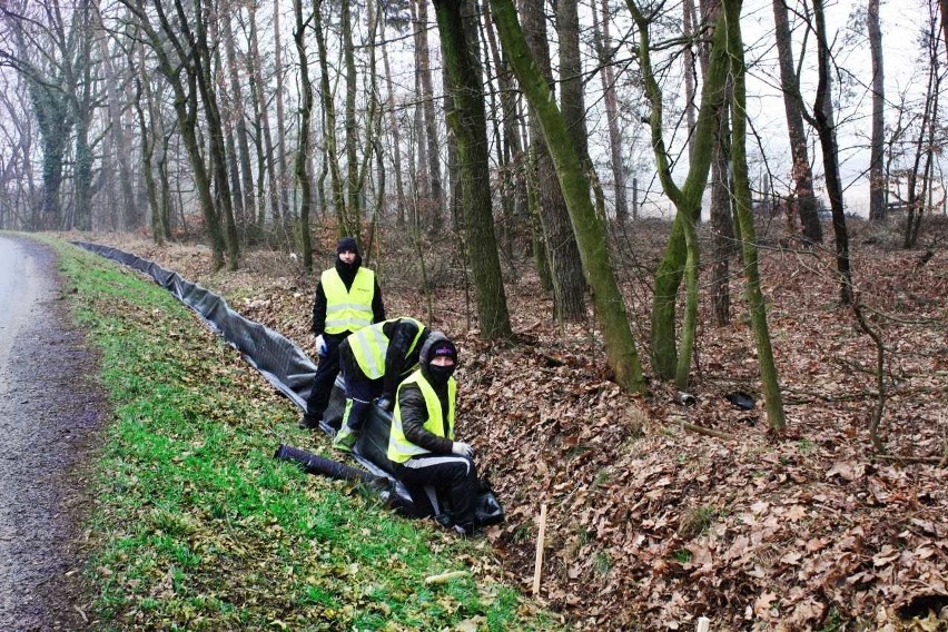 Drogowcy zbudowali w rejonie Kędzierzyna-Koźla specjalny...