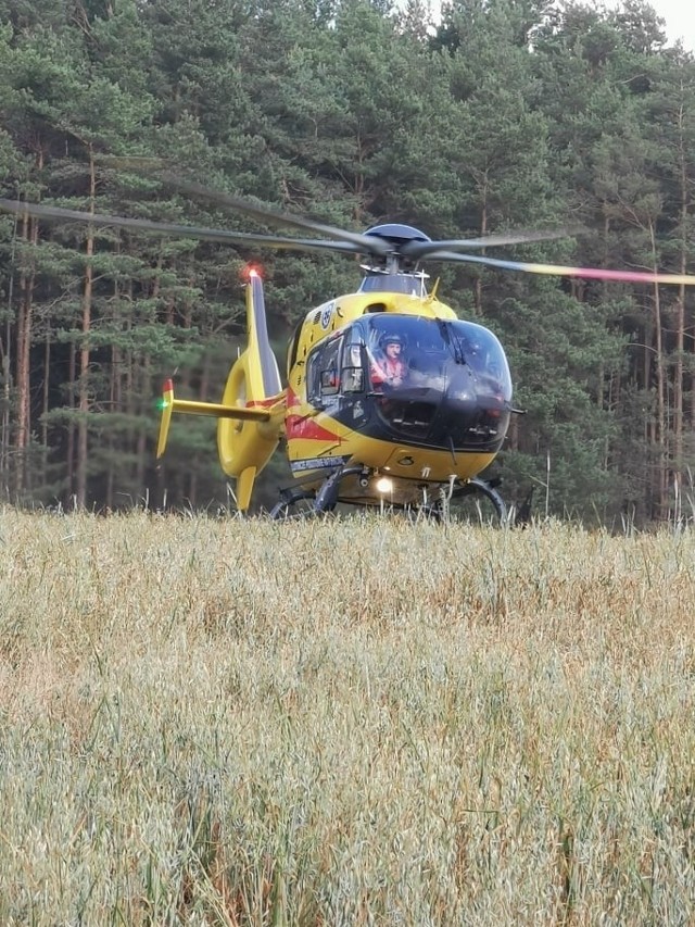 Na drodze gruntowej między Lipnicą a osadą Dampel doszło do wypadku. Ranny został motocyklista.