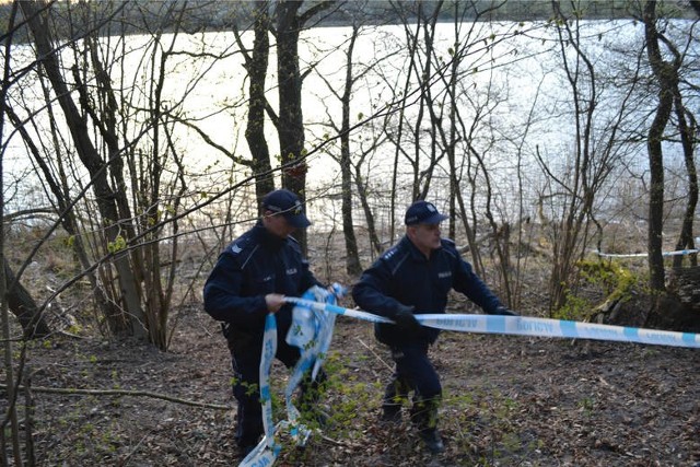 Z jeziora wyłowiono 13 martwych jeleni pozbawionych łbówZ jeziora Stryjewo w gminie Więcbork wyłowiono 13 martwych jeleni. Niemal wszystkie były pozbawione łbów.