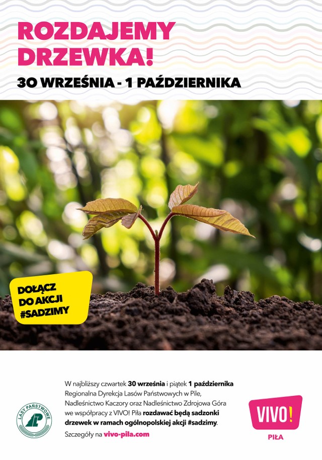 W dniach 30 września i 1 października na terenie 16 miast w Polsce odbędzie się kolejna edycja akcji społecznej #sadziMy. Inicjatywa ma przypominać o istotnej roli lasów i drzew w prawidłowym funkcjonowaniu planety.