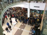 Nowy sklep Xiaomi. Warszawa: Gigantyczna kolejka w Galerii Mokotów, promocje przyciągnęły tłumy na otwarcie salonu [WIDEO]