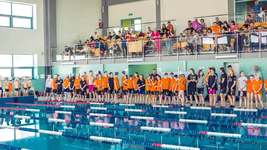 Pływackie zmagania w Powiatowym Centrum Sportowym w Staszowie. Rywalizowało prawie 300 uczestników