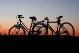 GDDKiA szuka nowego wykonawcy ścieżki rowerowej z Malborka do Sztumu