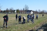 W Jeżowem posadzili miododajną Lipową Aleję Pamięci