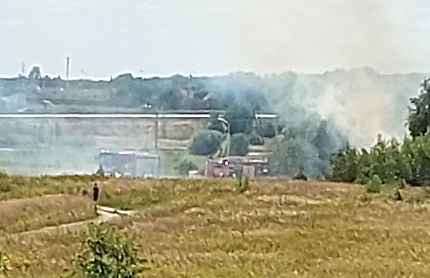 Dym nad Stargardem. Pożar w okolicy osiedla Pyrzyckiego 