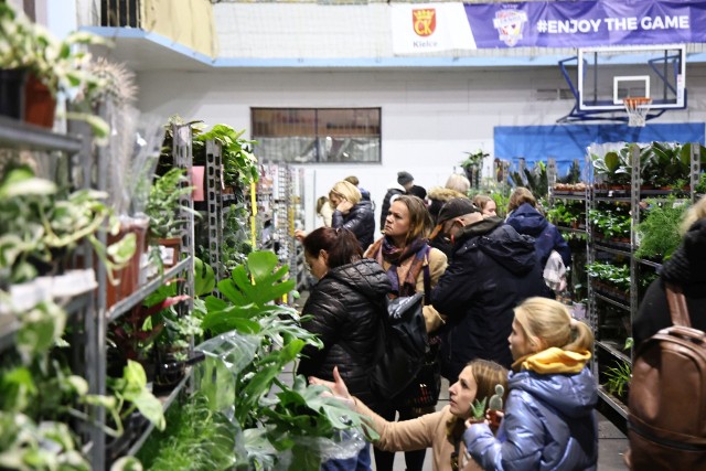 Mnóstwo osób kupowało kwiaty na Festiwalu Roślin w Hali Widowiskowo - Sportowej w Kielcach.Zobacz zdjęcia >>>