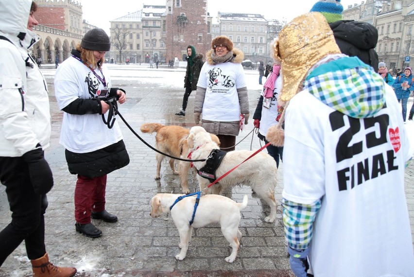 Wolontariusze WOŚP na ulicach Krakowa [ZDJĘCIA]