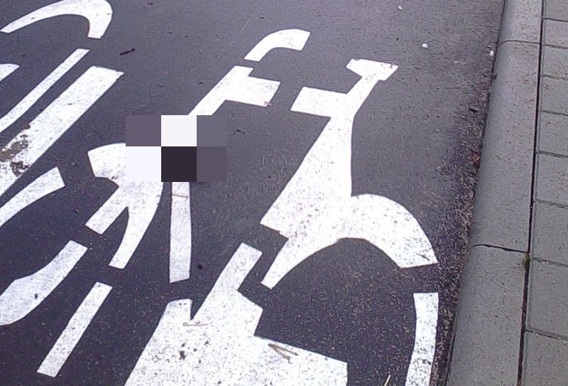 Ul. Świętokrzyska. Ścieżka rowerowa zanieczyszczona przez psie odchody (zdjęcia)