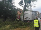 Wypadek pod Dzierżoniowem. Ciężarówka uderzyła w drzewo (ZDJĘCIA)