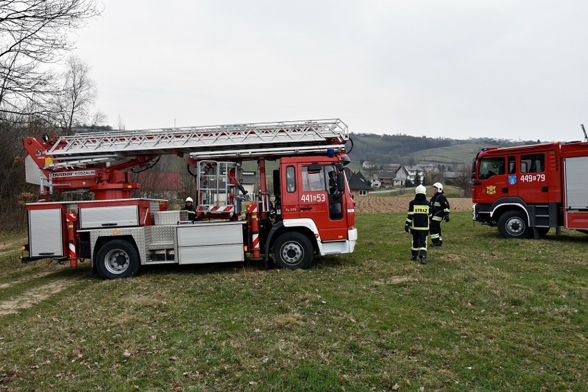 Gorlice. Strażacy z OSP w Moszczenicy po brawurowej akcji uratowali kota Franciszka [ZDJĘCIA]