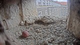W szczecińskim magistracie już mają jajo. Pustułki w Urzędzie Miasta Szczecin przy ul. Felczaka