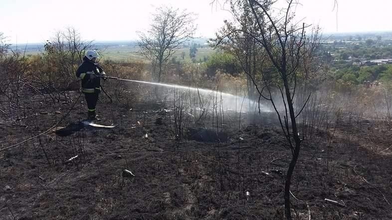 W czwartek, 15 września, w rezerwacie przyrody Gorzowskie...