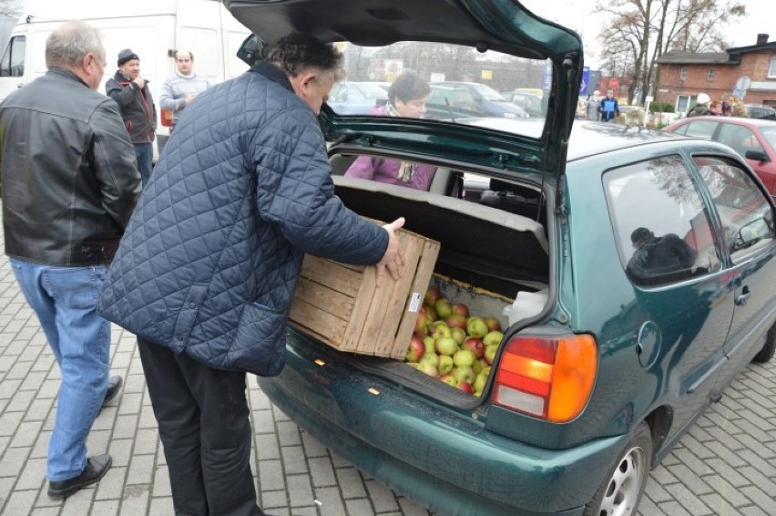 20 ton jabłek w Bolszewie rozdano w kilkadziesiąt minut...