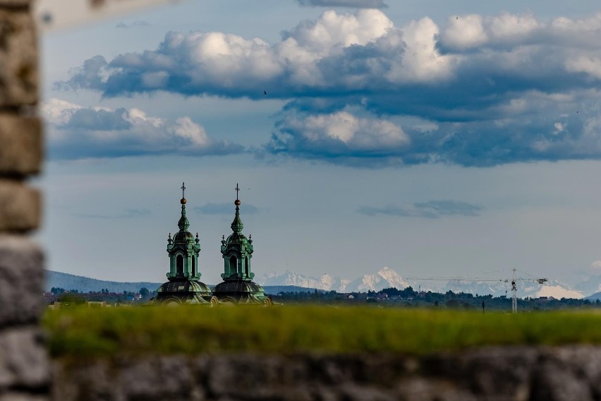 Kraków. W Budżecie Obywatelskim znów postawiono głównie na zieleń