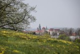 Kraków. W Budżecie Obywatelskim znów postawiono głównie na zieleń