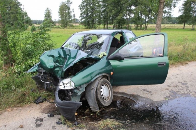 Opel wbił się w drzewo. Ucierpiało półtoraroczne dziecko [ZDJĘCIA]