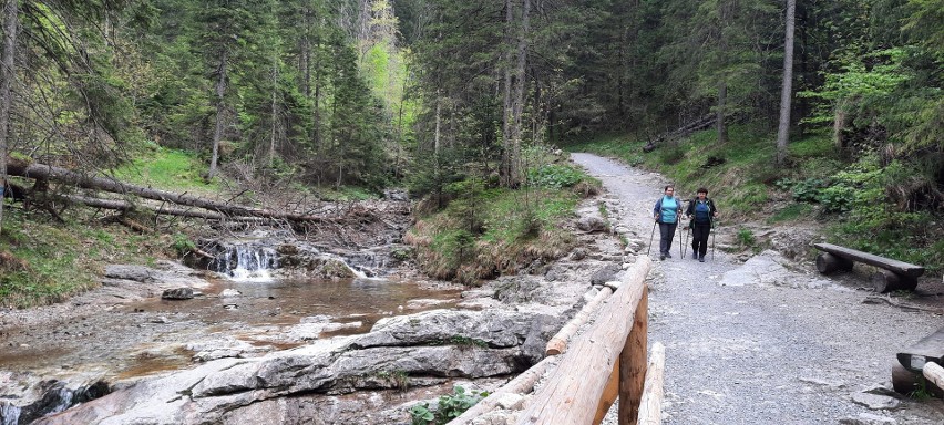 Tatry. Dolina Białego i Sarnia Skałka - warto tam iść teraz. Jest pięknie, a do tego całkowicie pusto 