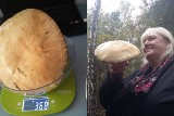 Grzybobranie 2018. Baciuty: Gdzie są grzyby? Na Podlasiu! Nasza Czytelniczka znalazła ponad 3,5-kilogramowego borowika (zdjęcia)