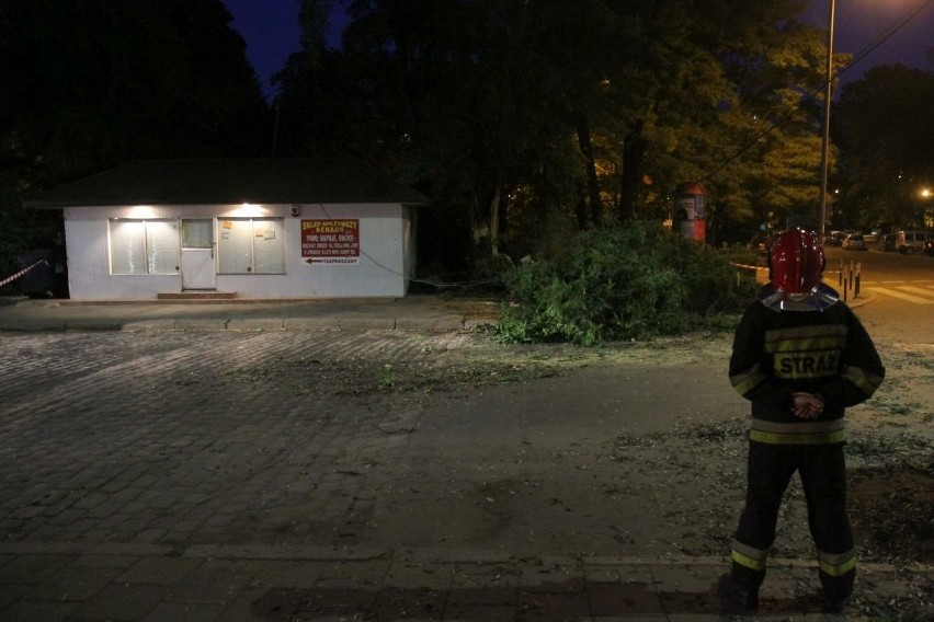 Wrocław: Złamana gałąź spadła na peugeota. Uszkodziła też linię energetyczną (ZDJĘCIA)