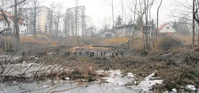Przy ul. Estońskiej z działki sąsiadującej z parkiem Duchackim zniknęły najpierw drzewa, a potem woda ze stawu