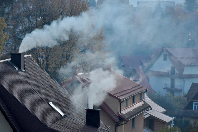 Na stronie internetowej www.stacje.wios.rzeszow.pl można zobaczyć aktualny stan powietrza dla Rzeszowa, Niska, Mielca, Przemyśla, Jasła i Krempnej.