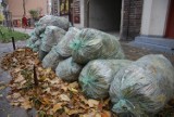 Problemy z odbiorem śmieci w Lublinie: O wywóz worków trzeba poprosić