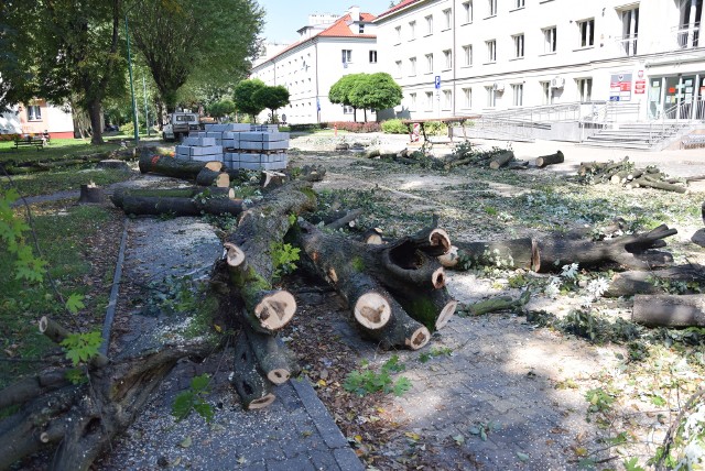 24 sierpnia 2021 r. rozpoczął się remont ulic Śniadeckiego, Sobieskiego i Wyspiańskiego w Oświęcimiu. Na drodze parkingom przy ul. Wyspiańskiego "stanęły" drzewa.
