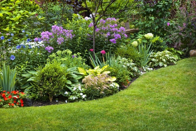 Żeby trawnik był piękny i bujny, musimy zadbać o niego tak jak i o roślinny ozdobne. Szczególnie ważne jest nawożenie.