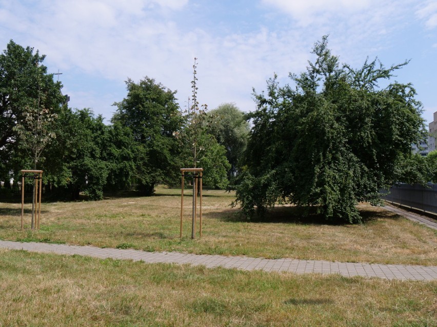 Rewitalizacja terenu na osiedlu Poręby, w sąsiedztwie kościoła Opatrzności Bożej w Stalowej Woli. Miasto wybrało wykonawcę