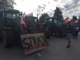 Wielkie protesty rolników w Świętokrzyskiem. W środę o 10 były blokady koło Łopuszna i Opatowa [WIDEO, ZDJĘCIA] 