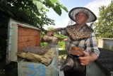 Marszałek funduje wyjazd dla pszczelarzy